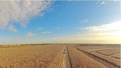 2019年农村土地征收补贴出炉了，一亩地拿多少钱，给你算一下