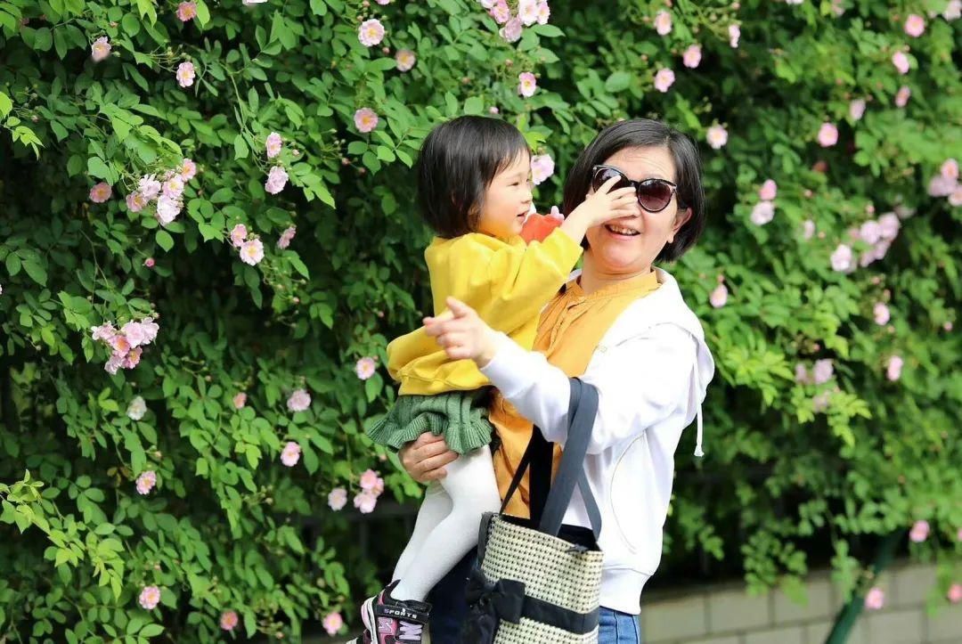  「打卡」蔷薇花开，待君归来|“云打卡”校园网红景点