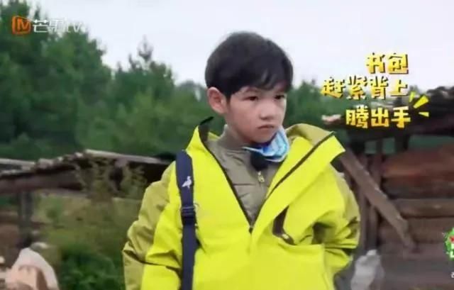 杨烁教育方式视频