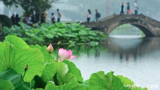 西湖被称“最傻”景区,因免门票损失几十亿,但事实却并非如此