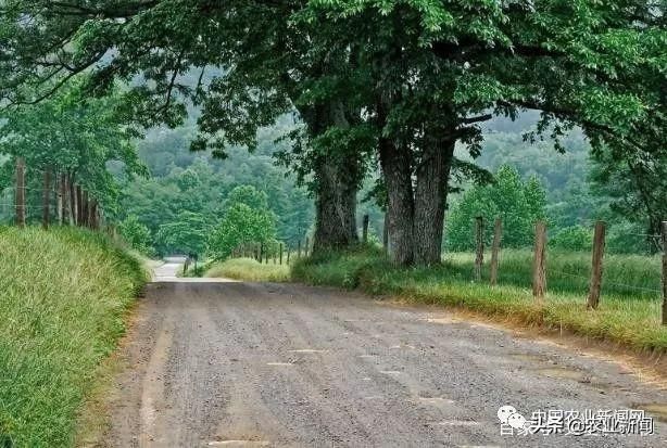 农民有福了!今年农村将实施“三通”工程，老农:终于等来好消息