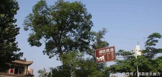 #暗藏#400年前的民宅,竟暗藏地下石室发现百箱金银和百坛好酒!