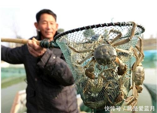 为什么越来越多的人回农村创业2019农村有前景的养殖项目有