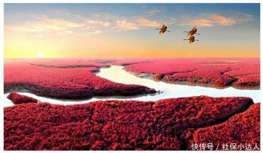  待遇：退休后养老金的待遇，跟在职期间的工资收入有关系吗？