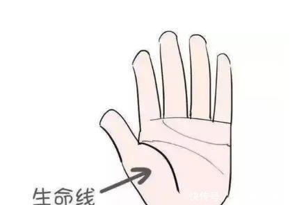  「手纹」具有这样手纹的朋友能够白手起家！