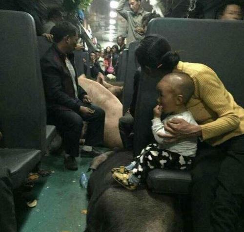 姑娘，你这裙子确实不错，只是搭配的鞋子实在是尴尬