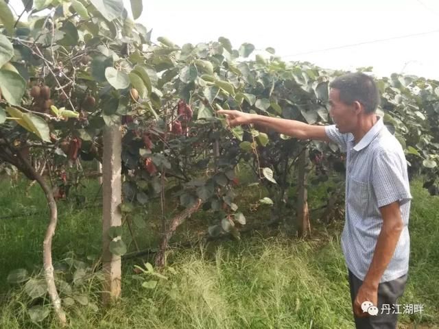 登录查看大图