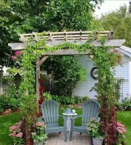  绝美@在农村建一个院子，修篱种菊，烹茶会友，绝美