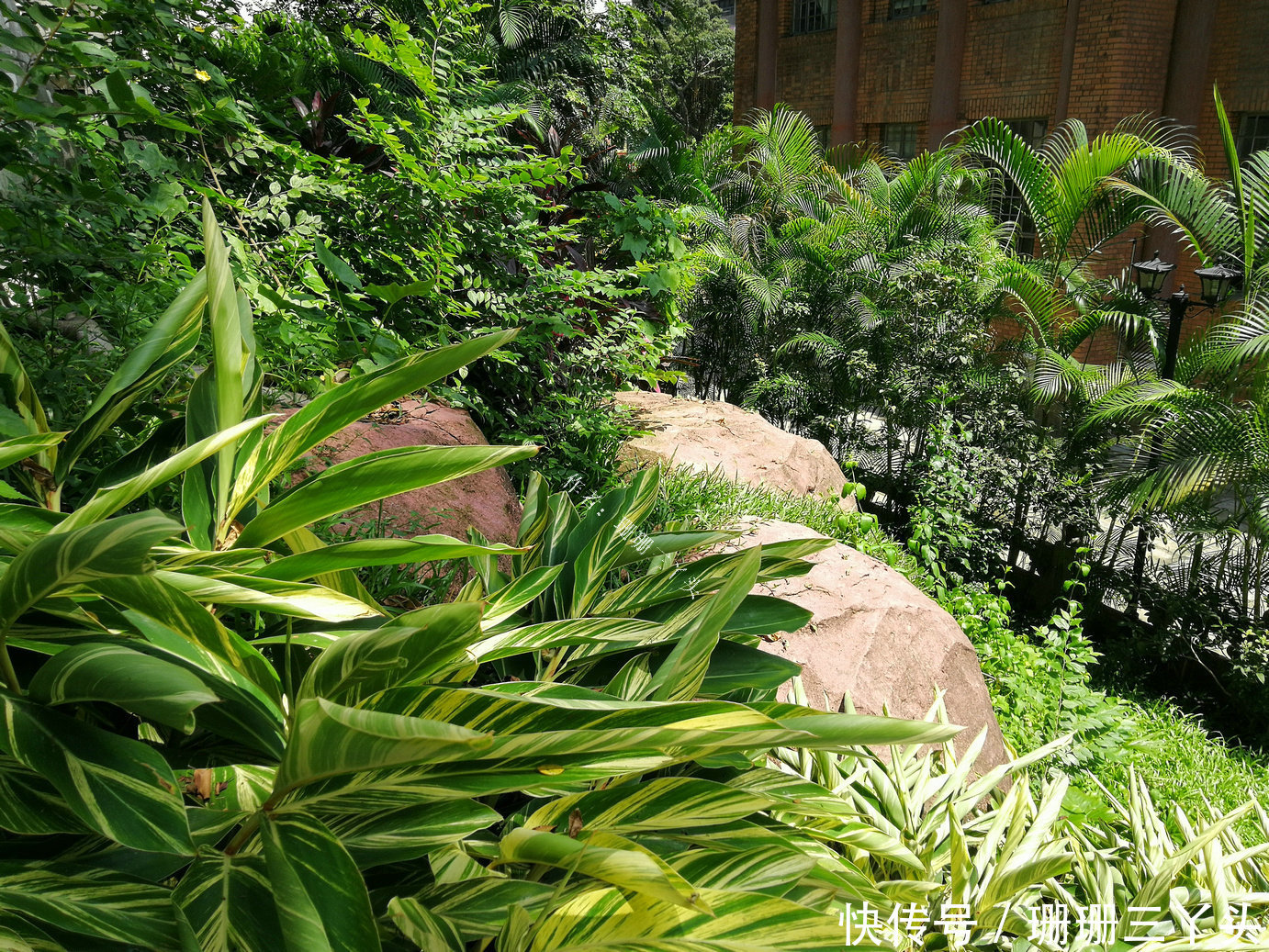 广州古老地名的“源头”,曾是羊城八景之一,游客:这只是小丘?