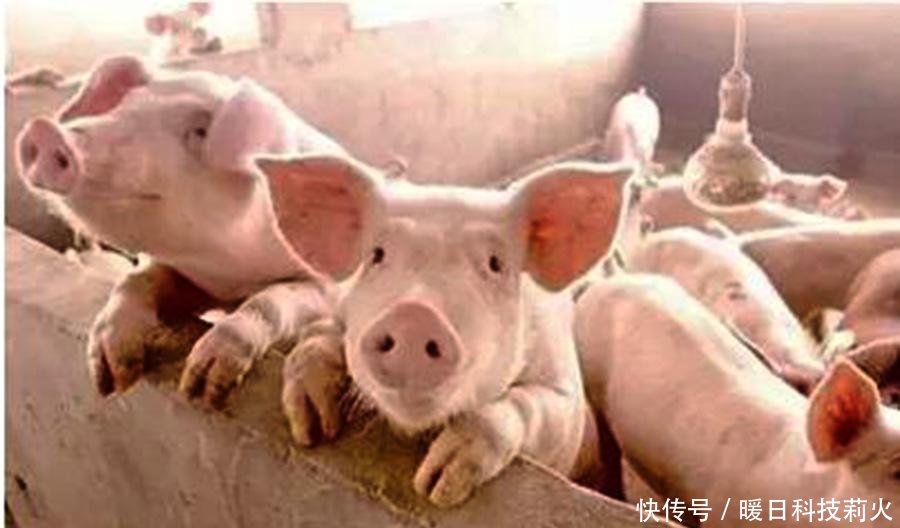  【重申】国家重申，“禁养区”范围再明确，除6大区域外，其他可