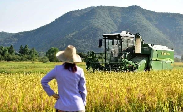  「农民朋友」年底之前，村干部“严防死守”，杜绝3种行为出现，