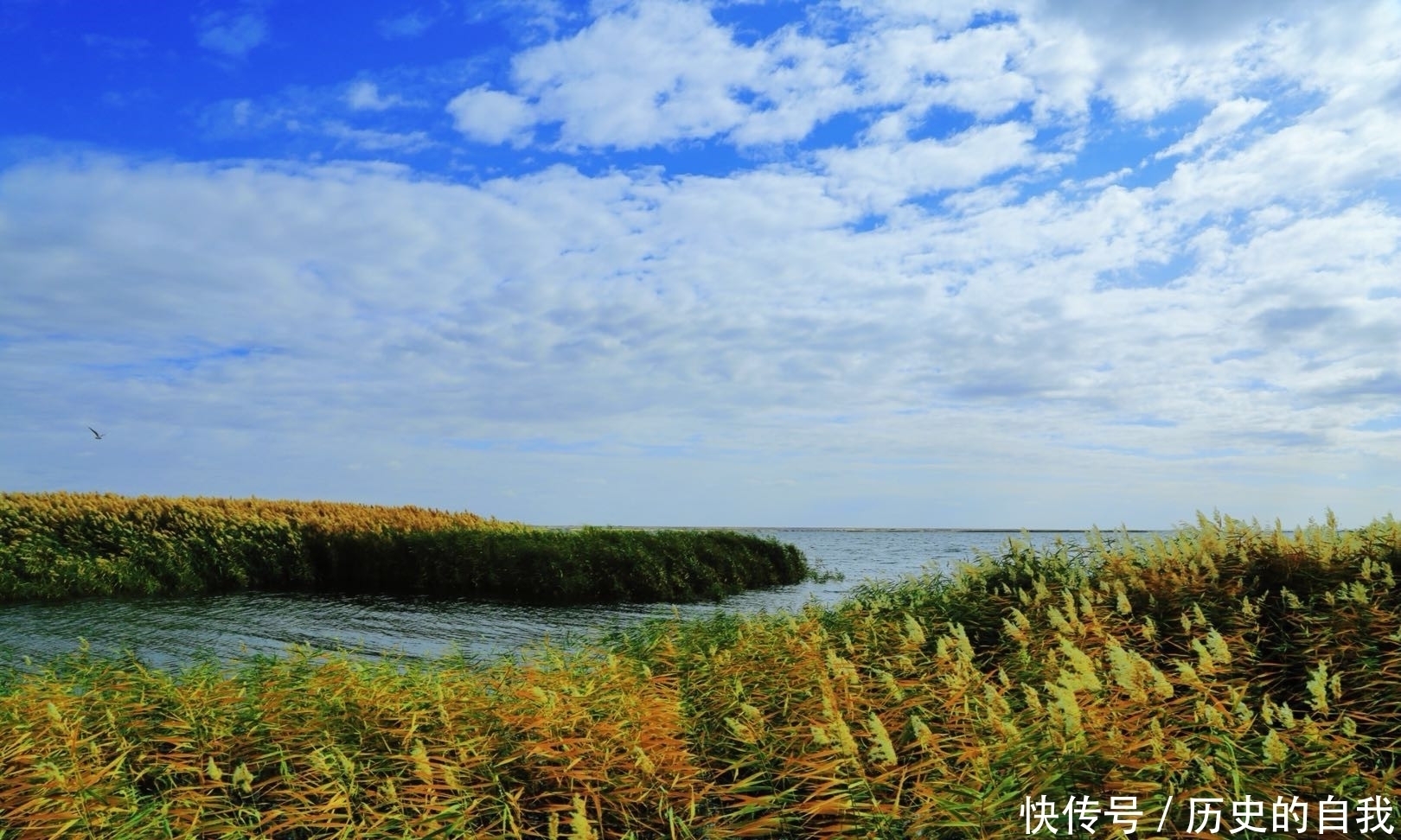  「湖泊」八百里“借水”将荒野变成湖泊，只用十六年，中国再一