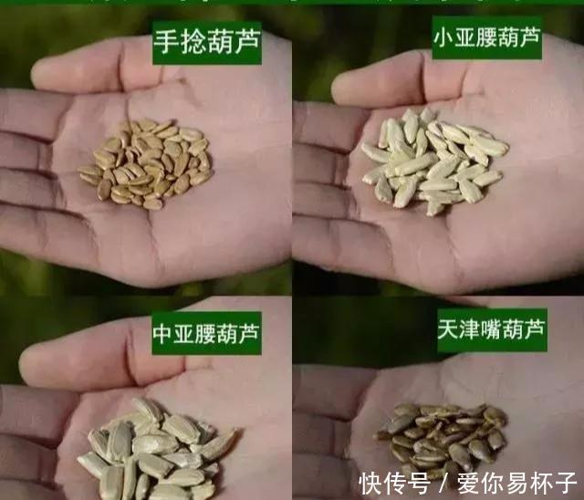  「椅子」大爷花10年“种椅子”，一把卖80000！这些文玩在家也能