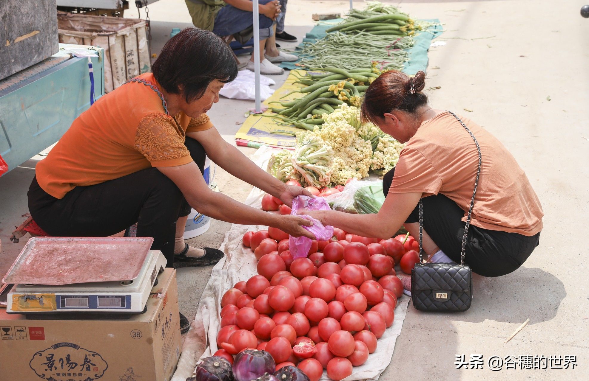  【奶奶】山东6旬农民大妈种8亩西红柿，大集做生意还要看孙子，