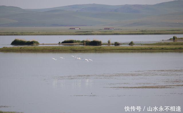 「青年眼中的世界」乌拉盖草原