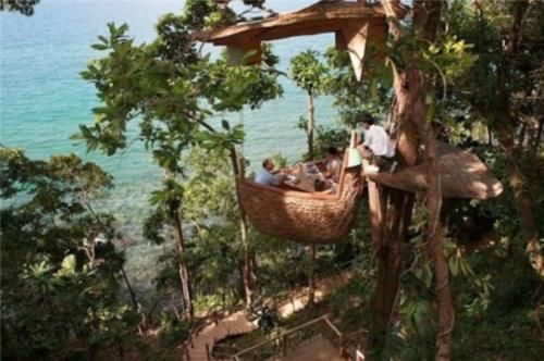 世界上最奇葩的餐厅，一个在海中一个在树上，最后一个还在中国