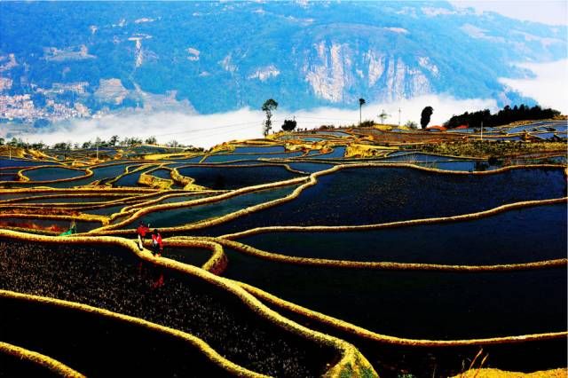 3月云南，这里最值得去！