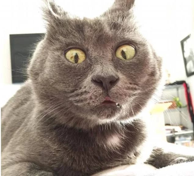 女子身上发痒醒来竟发现正被小偷猥亵 民警赶