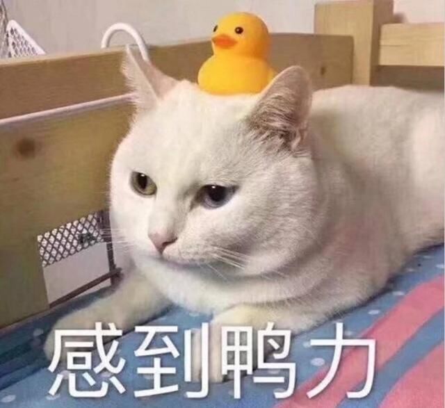 冷冷冷！新一轮冷空气要来了！