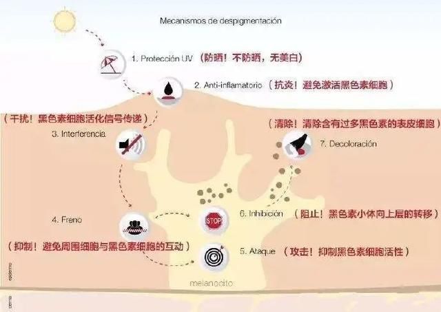  「精华」千元精华们的平价替代，居然这么好用？