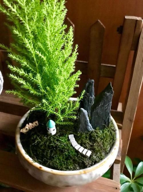 「枝繁叶茂」卧室养3种花,空气好,睡眠好,枝繁叶茂,格调高