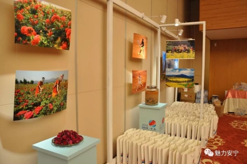 王迅在北京梅地亚中心发出国际邀请函 昆明国际网球邀请赛10月在