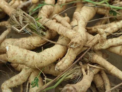  「赵老板说」农民种植一种农作物，投入500元，亩收入5千元，秘