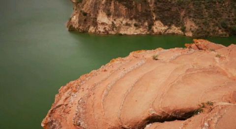  【蔬菜】世界上最“悲催”沙漠，被中国人当菜园，每年收10000多