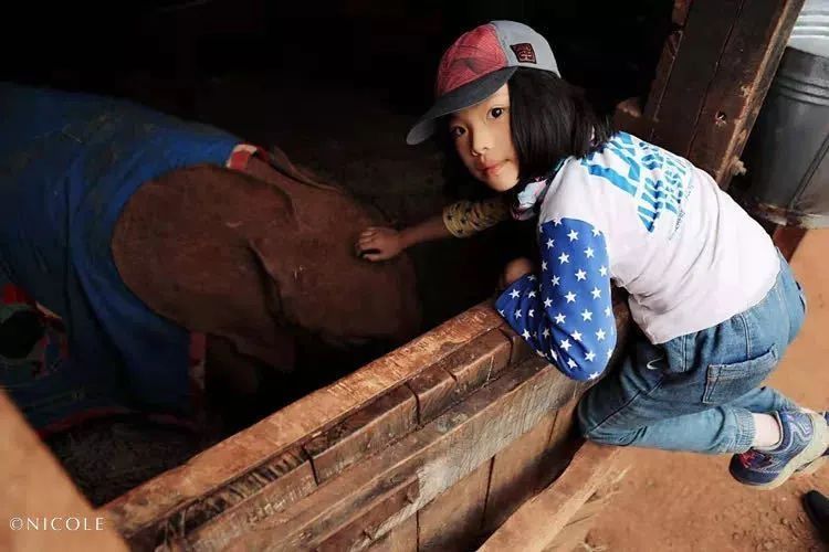 "promot_title":"{\"i0\": \"此辉夜非彼辉夜,辉夜说她不认识辉夜\"当狮口逃生的小斑马遇到大象孤儿院