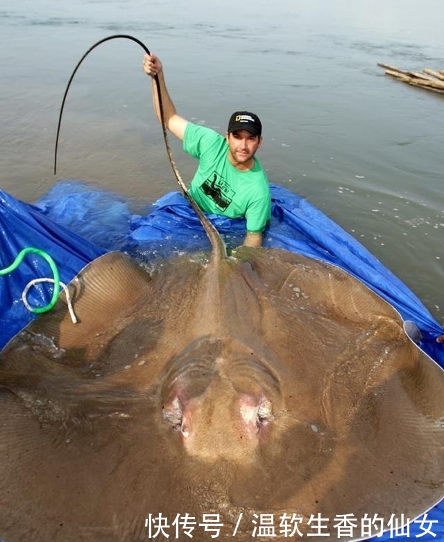 强烈要求李大毛老师停止游钓中国, 远征湄公河降服真正的巨物