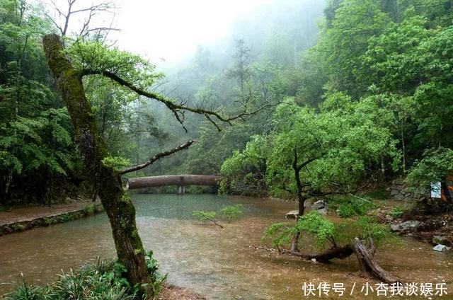 『名副其实』集桂林之秀、黄山之奇与华山之险,此仙境藏在浙江与福建的交界处