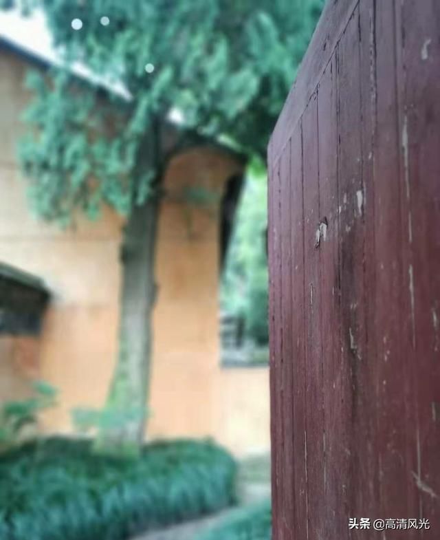 寺若成，国既清 隋代古刹国清寺清明一行 免费的5A景区