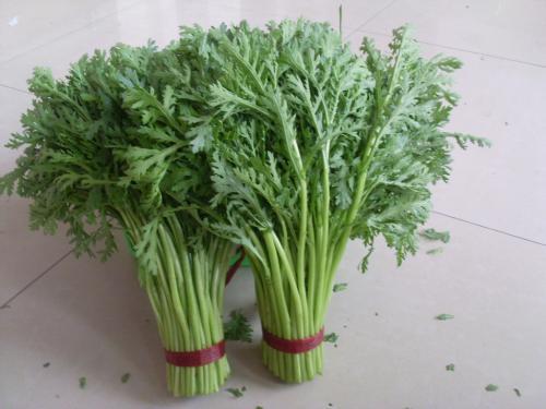  「不少」亩收3000斤，一年能采收3次，一斤卖8元，农民却不愿种