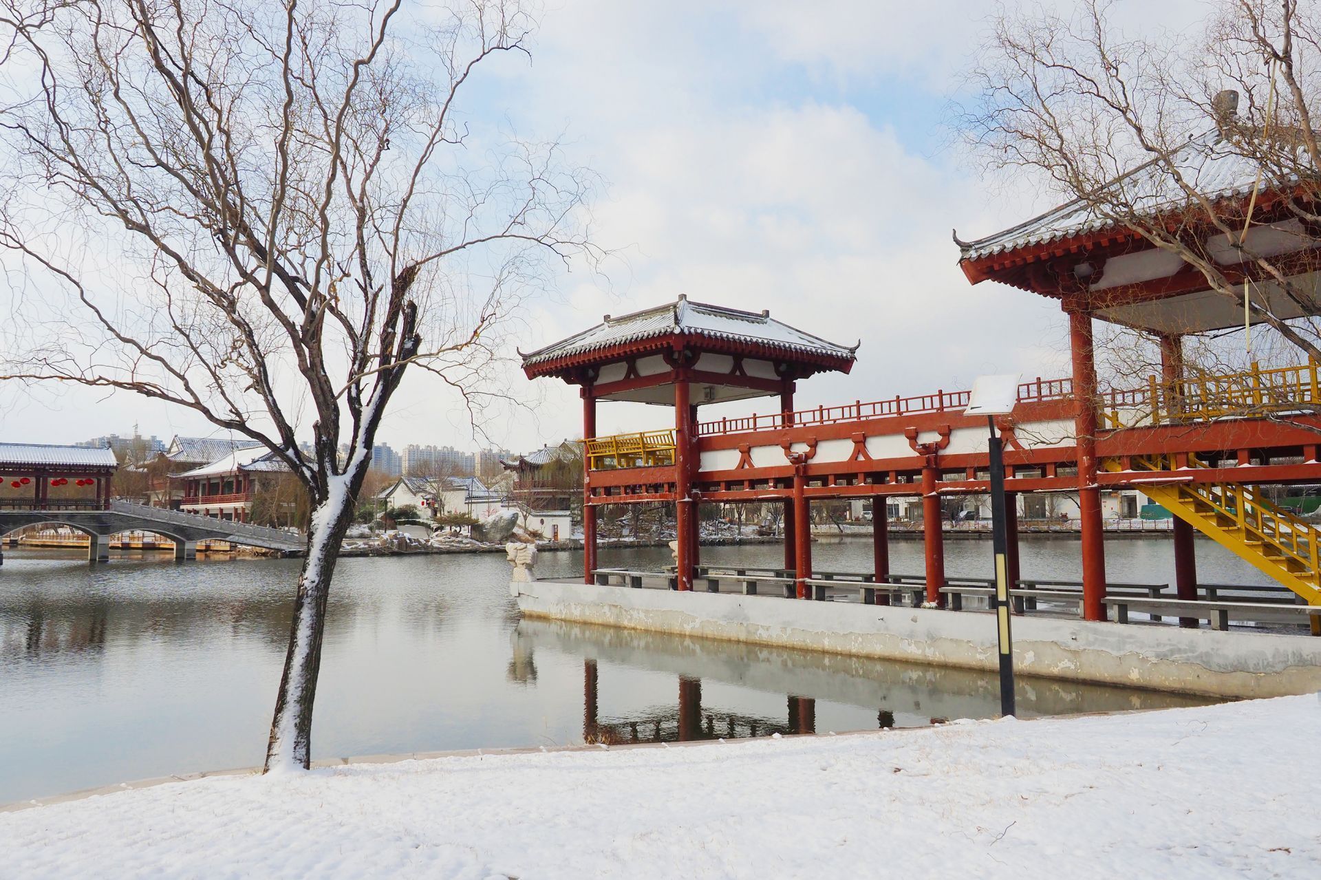  力量■战“疫”之城！力量之城！瑞雪里，大美德州