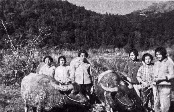 70年代老照片：让人怀念的生产队时期，每一张照片都充满了历史感