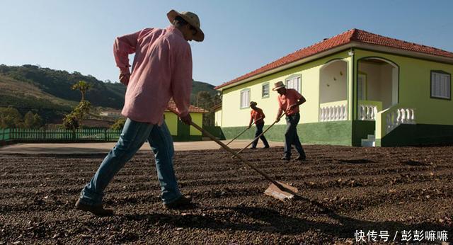 多个大豆出口国或向中国市场和人民币倾斜后，中国大豆正在崛起？