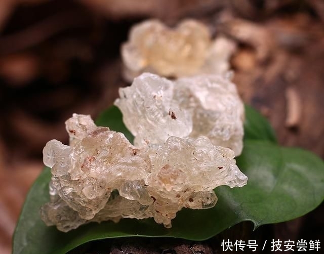 『食物』女人别傻傻买名贵化妆品了,多吃这6种碱性食物,皮肤水嫩有弹力