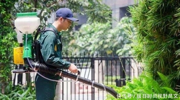 【楼盘】买房到底应该选“大楼盘”还是选“小楼盘”?今天总算解惑了