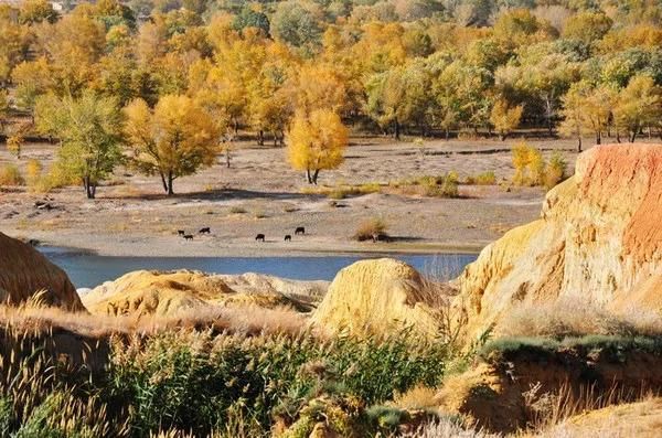 9月开始，这12个地方不可错过!