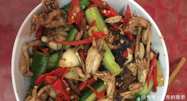  【保护动物】一年吃数万只农业害虫，一次产卵6千粒，却只能靠养殖才能吃到