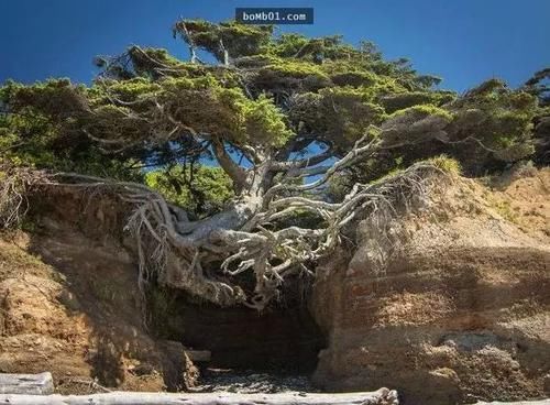 23张不可思议的照片,证明大自然无所不能!