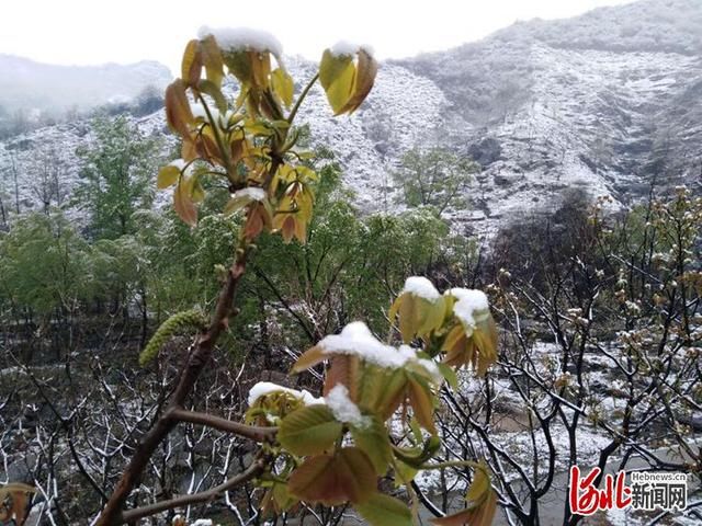  #相关#河北赞皇突降大雪 相关部门积极应对
