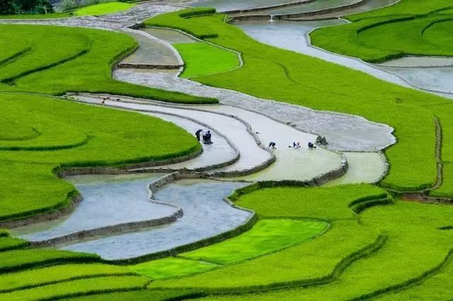  #盘点#盘点一组照片，来欣赏下美丽的越南风景吧！