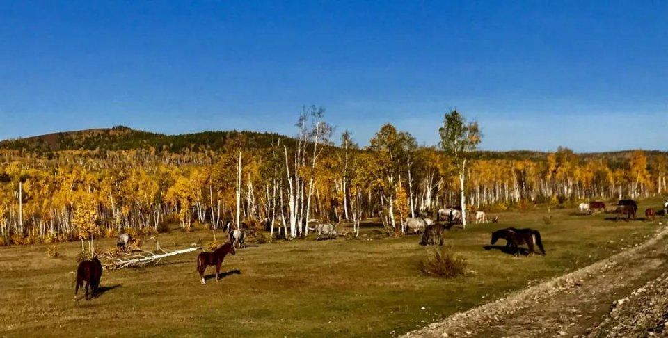 再过半个月,贝加尔湖的秋简直要逼疯摄影师!