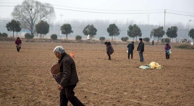 19年农村将实施“三补三不补”，农民好日子来了，三补有你吗？