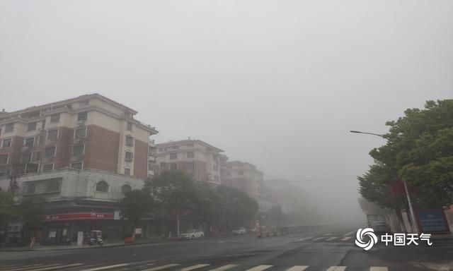  高速@江西抚州吉安赣州多地大雾来袭 高速封闭