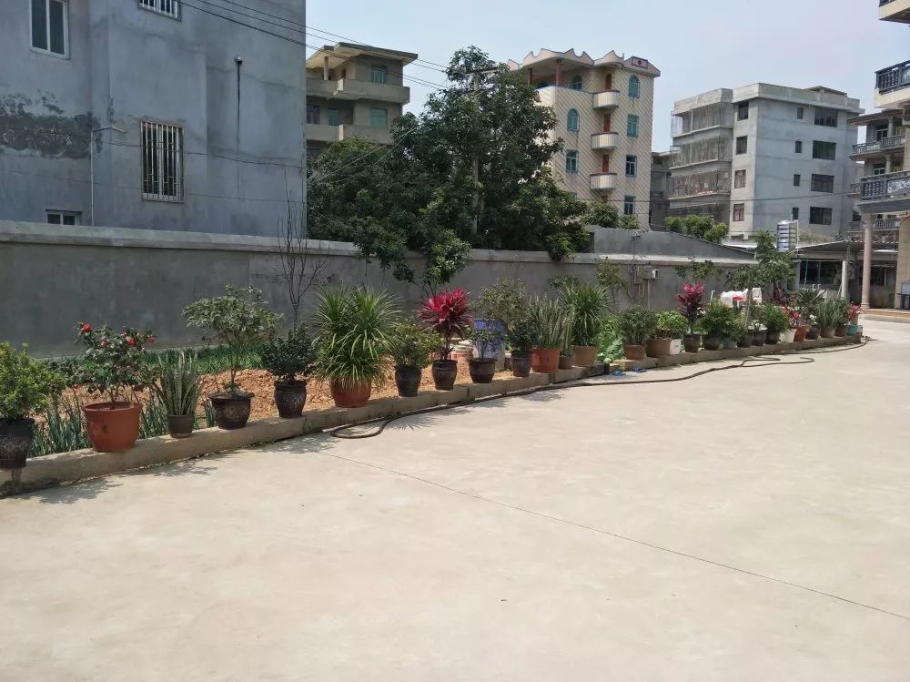 长乐美丽乡村：寻一方村落，等风也等你