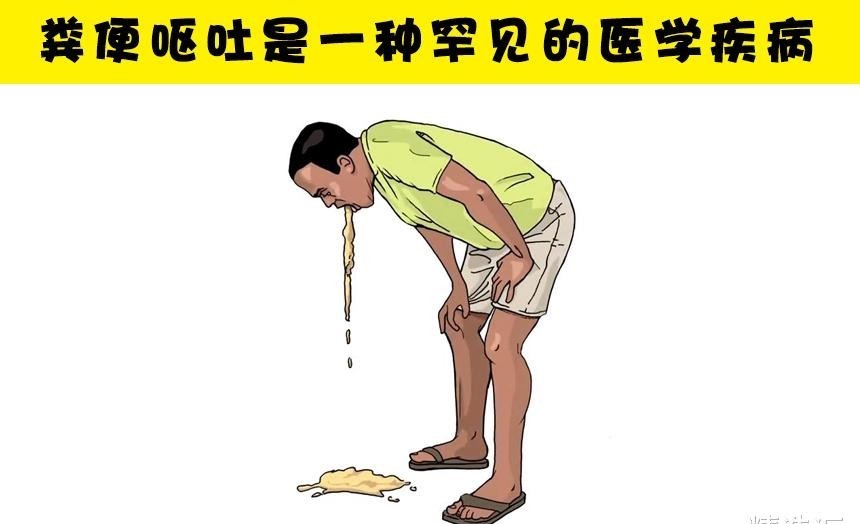  『鹦嘴鱼』关于便便，你所不知道的7个冷知识