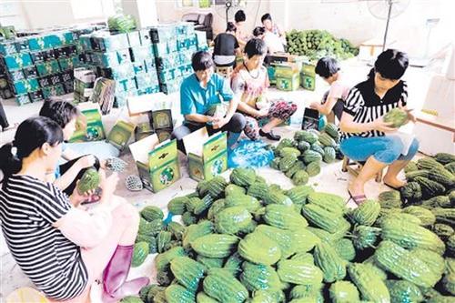 未来6年农村有3个行业将再次发力，现在做也不晚，农民可以考虑