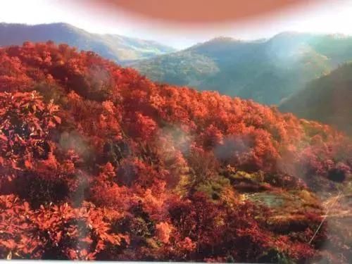 《延禧攻略》竟把陕西的陕西灵秀美景藏了进去！